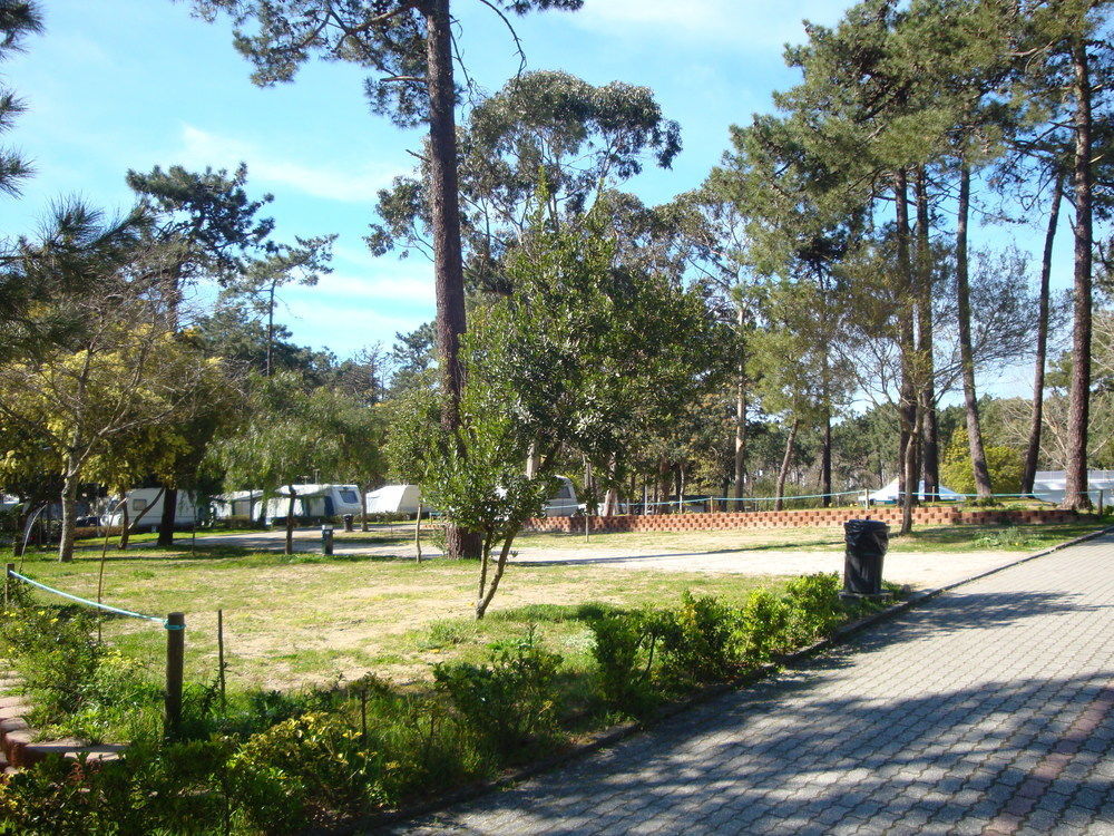 Отель Parque De Campismo Orbitur Каминья Экстерьер фото
